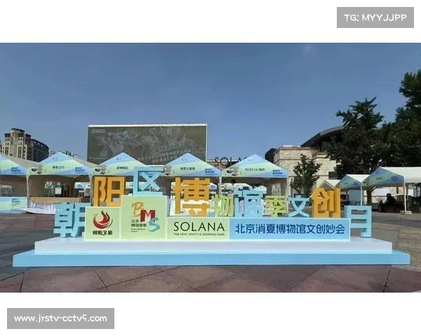 朝阳区深化“体育+”融合，擦亮国家网球示范区招牌